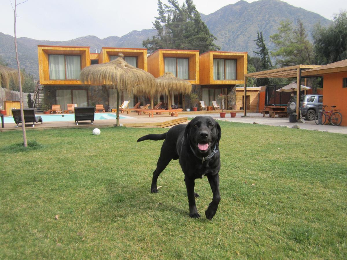 Cajon Del Maipo Lodge San José de Maipo Eksteriør billede